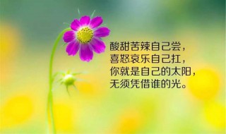 早安语录正能量的句子（早安语录正能量的句子图片）