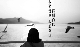 表达舍不得离别的句子 表达舍不得离别的句子8字