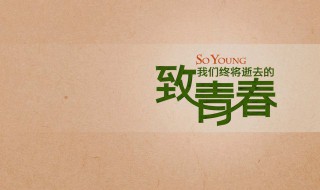 致青春的唯美句子（致青春的唯美句子QQ空间）