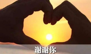 感谢领导的一句话暖心（感谢领导的一句话暖心报告）