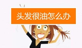 头发出油怎么办好（头发出油咋整）