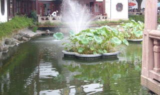 水肥起泡沫怎么处理（水肥起泡沫怎么处理干净）