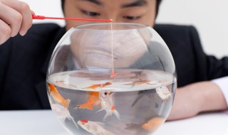 绑鱼嘴的方法
