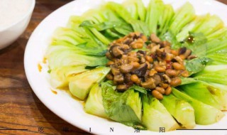 炒青菜保持绿的方法