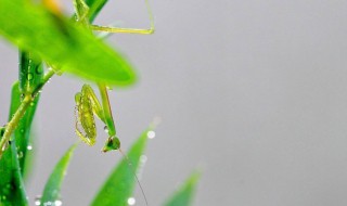 预防小暑的方法