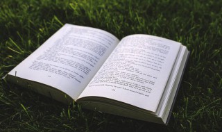 朋友圈晒娃经典语句 朋友圈晒娃经典语句陪伴