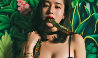 绿茶女什么意思 绿茶女什么意思啊兴风作浪