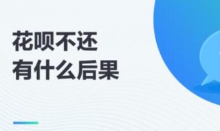 花呗用了不还会怎么样（用了花呗不还有什么后果）