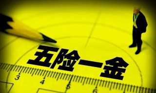 五险一金包括什么及缴纳比例（五险一金是哪五险一金比例）