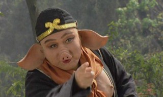 八戒都哪八戒呢（八戒都是哪八戒）
