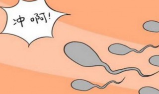 怎样才可以怀孕 女生怎样才可以怀孕