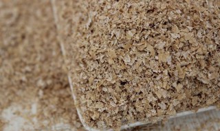 花生敷做肥料怎样使用（花生敷做肥料怎样使用最好）