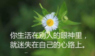 经典句子人生感悟（风景经典句子人生感悟）