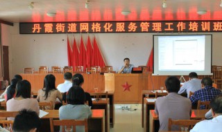 网格化管理是什么意思（党建网格化管理是什么意思）