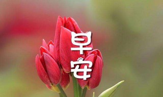 每日一句正能量10月1号（每日一句正能量短语2020）