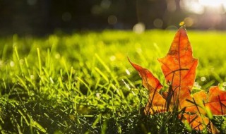 10月2号早晨祝福语（10月2日早上好问候语）
