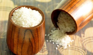 大米怎样做不生虫（大米怎样做不生虫子）