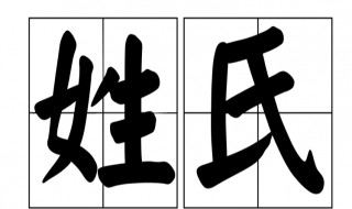 中国的第一大姓氏是什么 中国的第一大姓氏是什么?