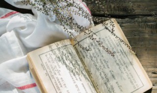 开学了家长的心情短句 开学了家长的心情短句搞笑