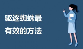 驱逐蜘蛛最有效的方法（驱逐蜘蛛最有效的方法家用）
