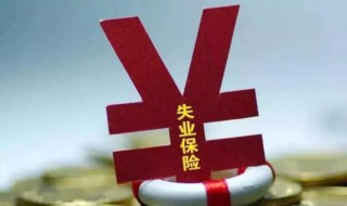 失业金是领保险金还是补助金 失业保险金是失业补助金吗