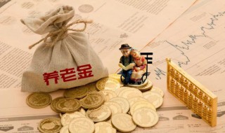 养老金是不是就是退休金（养老金是不是退休后的工资）