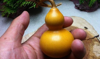 葫芦怎么处理才能保存 刚摘的葫芦怎么处理才能保存