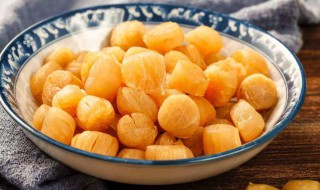 瑶柱是啥啊 瑶柱是什么食材