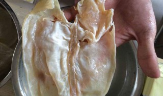 鱼胶清洗方法（鱼胶的清洗方法）