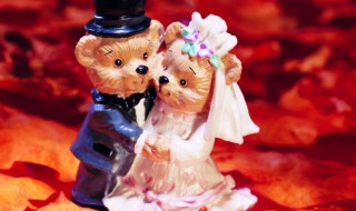 结婚20年是啥婚 结婚20年是什么意思