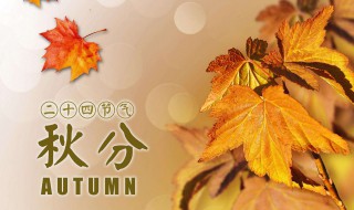春夏秋冬分别是哪几个月（春夏秋冬分别是哪几个月英语）