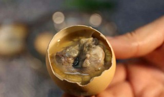 吃活珠子的好处和危害（吃活珠子的好处和危害有哪些）