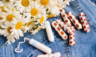 菊花象征含义 菊花象征含义为什么是高雅