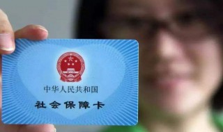 如何查社保缴费记录（支付宝上如何查社保缴费记录）