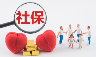 个人如何交社保（个人如何交社保的最好方法）