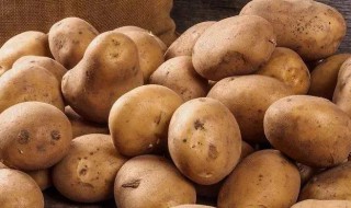 土豆营养价值及功效 土豆营养价值及功效简介
