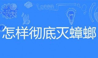 怎样彻底灭蟑螂（怎样才能彻底消灭蟑螂?）