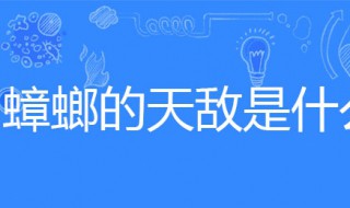 蟑螂的天敌 蟑螂的天敌是谁?