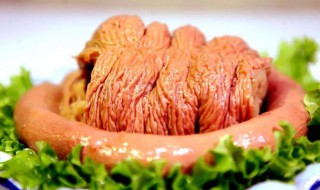 马肉的营养价值及功效（马肉的营养价值及功效禁忌与副作用）