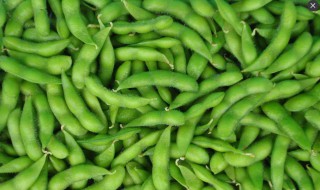 嫩黄豆保鲜方法 嫩黄豆保鲜方法有哪些