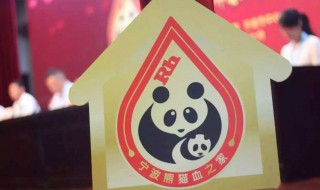 熊猫血有什么好处 熊猫血有什么好处啊