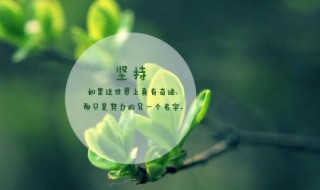 霸气高冷有个性的句子（霸气高冷有个性的句子长句）