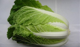 白菜的营养价值及功效（白菜的营养价值及功效本草纲目）