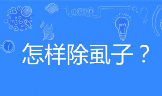 怎样除虱子 怎样除虱子和虱子卵 不剪头发