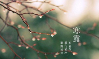 寒露节气短信 寒露节气短信问候语