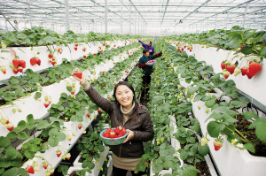 金木研情侣头像高清，求雾岛董香和金木研的情