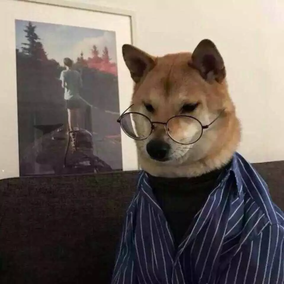 柴犬情侣头像一左一右