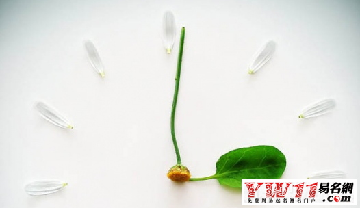 吕博熠杨馥宇是情侣吗，如果说媚娘杨馥宇还参