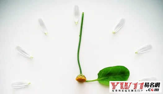 小清新简短情侣网名：关于小清新的QQ情侣网名
