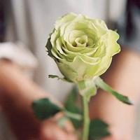 手拿玫瑰花的情侣头像